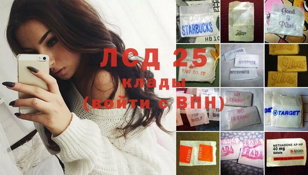 стаф Нея