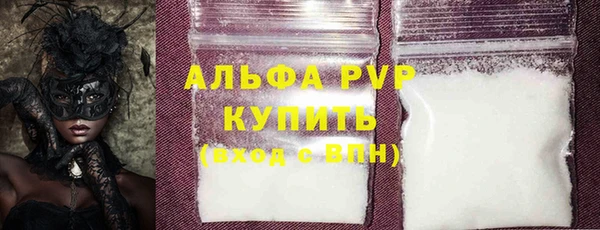 стаф Нея