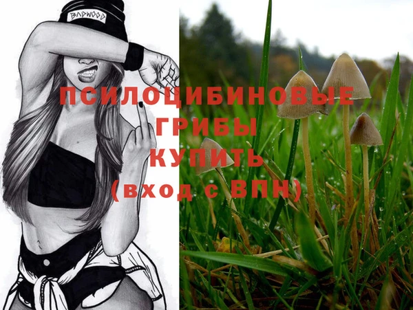круглые Нефтекумск
