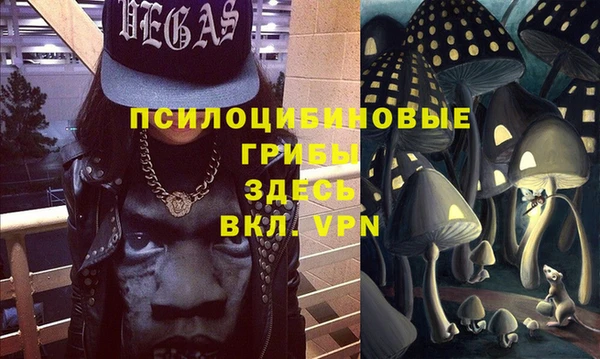 стаф Нея