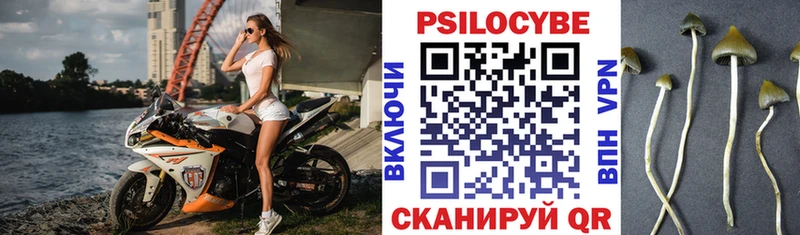 Псилоцибиновые грибы ЛСД  продажа наркотиков  Кизилюрт 