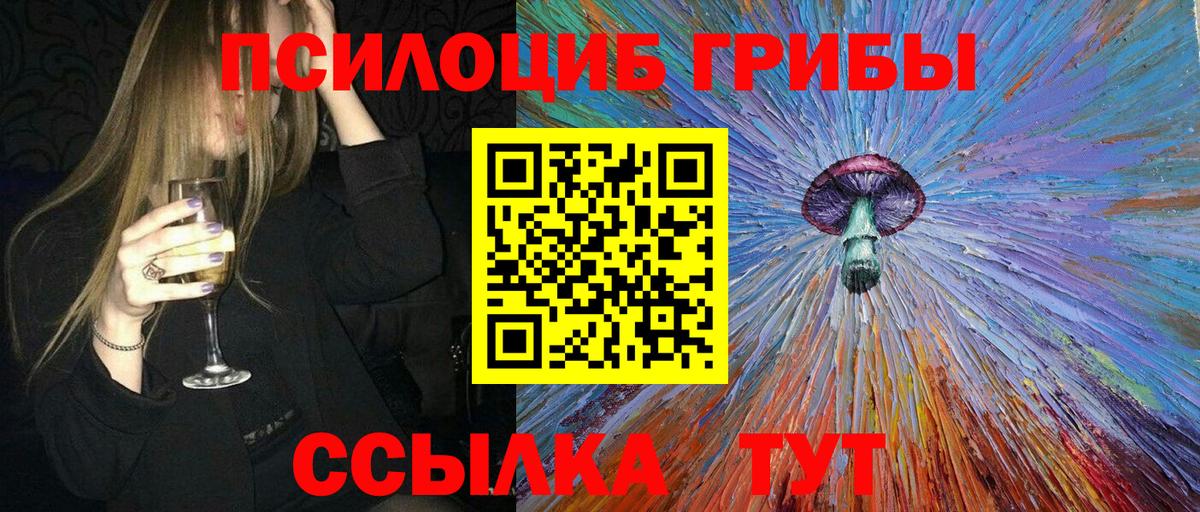 Кизилюрт  Псилоцибиновые грибы прущие грибы  Вход с VPN 